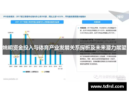 姚明资金投入与体育产业发展关系探析及未来潜力展望